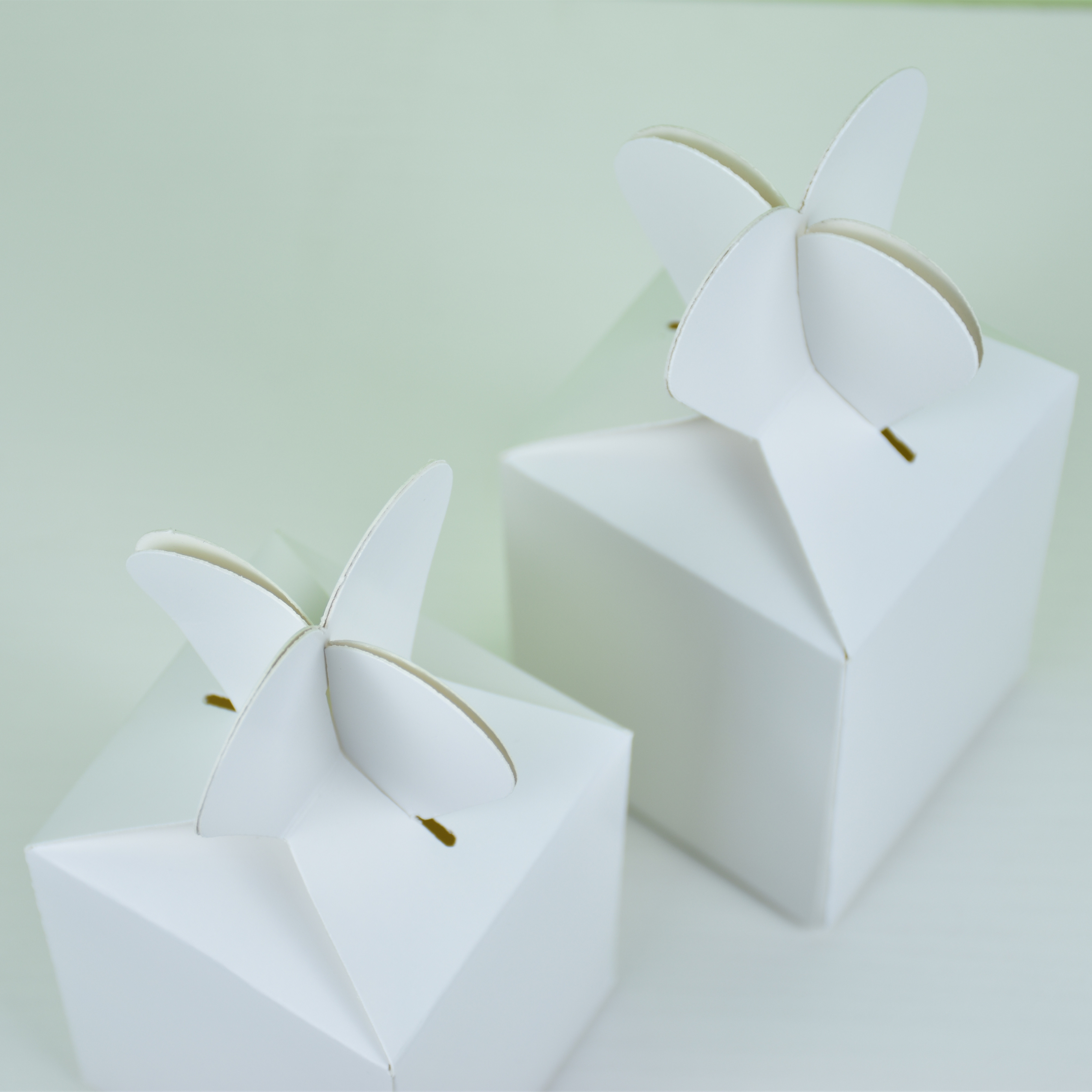 Gift Package Paper Box  KX0002